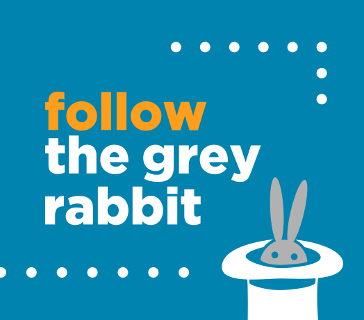 follow the grey rabbit